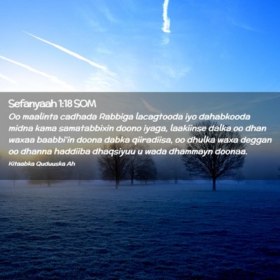 Picture 02 - Sefanyaah 1:18 SOM - Oo maalinta cadhada Rabbiga lacagtooda iyo - Bible Verse Picture
