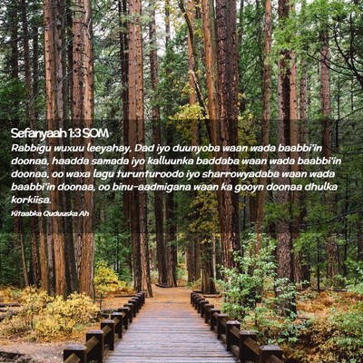 Picture 02 - Sefanyaah 1:3 SOM - Rabbigu wuxuu leeyahay, Dad iyo duunyoba waan - Bible Verse Picture