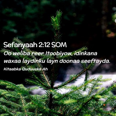 Picture 02 - Sefanyaah 2:12 SOM - Oo weliba reer Itoobiyow, idinkana waxaa laydinku - Bible Verse Picture