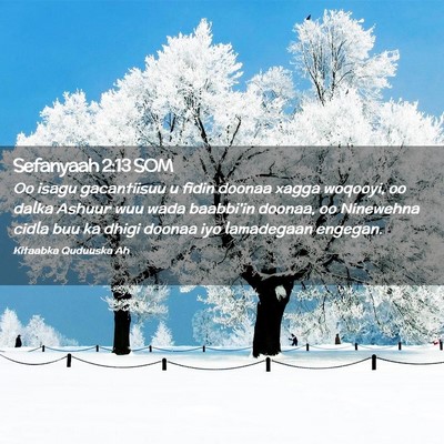 Picture 02 - Sefanyaah 2:13 SOM - Oo isagu gacantiisuu u fidin doonaa xagga - Bible Verse Picture