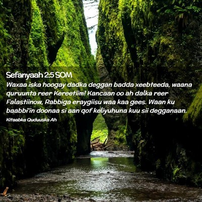 Picture 02 - Sefanyaah 2:5 SOM - Waxaa iska hoogay dadka deggan badda xeebteeda, - Bible Verse Picture