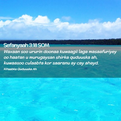 Picture 02 - Sefanyaah 3:18 SOM - Waxaan soo ururin doonaa kuwaagii laga - Bible Verse Picture