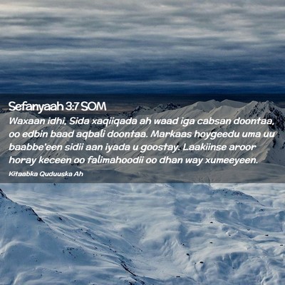 Picture 02 - Sefanyaah 3:7 SOM - Waxaan idhi, Sida xaqiiqada ah waad iga cabsan - Bible Verse Picture