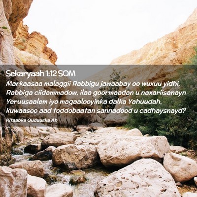 Picture 02 - Sekaryaah 1:12 SOM - Markaasaa malaggii Rabbigu jawaabay oo wuxuu - Bible Verse Picture