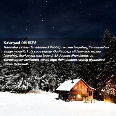 Picture 02 - Sekaryaah 1:16 SOM - Haddaba sidaas daraaddeed Rabbigu wuxuu leeyahay, - Bible Verse Picture