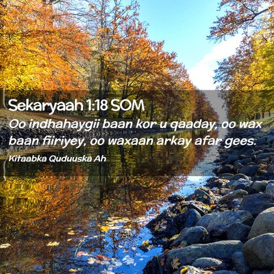 Picture 02 - Sekaryaah 1:18 SOM - Oo indhahaygii baan kor u qaaday, oo wax baan - Bible Verse Picture