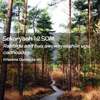 Picture 02 - Sekaryaah 1:2 SOM - Rabbigu aad buu awowayaashiin ugu - Bible Verse Picture
