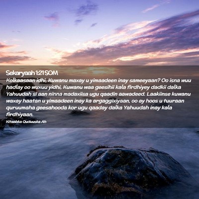 Picture 02 - Sekaryaah 1:21 SOM - Kolkaasaan idhi, Kuwanu maxay u yimaadeen inay - Bible Verse Picture