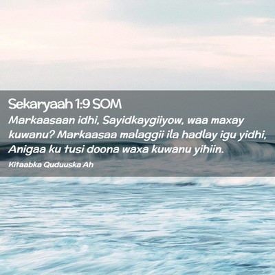 Picture 02 - Sekaryaah 1:9 SOM - Markaasaan idhi, Sayidkaygiiyow, waa maxay - Bible Verse Picture