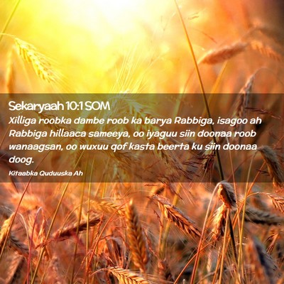 Picture 02 - Sekaryaah 10:1 SOM - Xilliga roobka dambe roob ka barya Rabbiga, - Bible Verse Picture