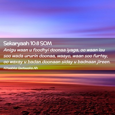 Picture 02 - Sekaryaah 10:8 SOM - Anigu waan u foodhyi doonaa iyaga, oo waan isu - Bible Verse Picture
