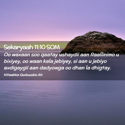 Picture 02 - Sekaryaah 11:10 SOM - Oo waxaan soo qaatay ushaydii aan Raallinimo u - Bible Verse Picture