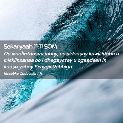 Picture 02 - Sekaryaah 11:11 SOM - Oo maalintaasuu jabay, oo sidaasay kuwii idaha u - Bible Verse Picture