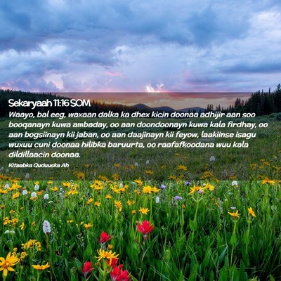 Picture 02 - Sekaryaah 11:16 SOM - Waayo, bal eeg, waxaan dalka ka dhex kicin doonaa - Bible Verse Picture