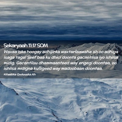 Picture 02 - Sekaryaah 11:17 SOM - Waxaa iska hoogay adhijirka waxtarlaawaha ah oo - Bible Verse Picture