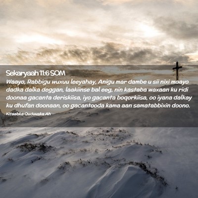 Picture 02 - Sekaryaah 11:6 SOM - Waayo, Rabbigu wuxuu leeyahay, Anigu mar dambe u - Bible Verse Picture