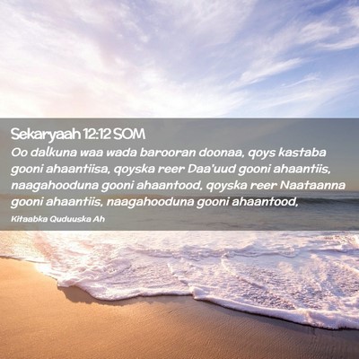 Picture 02 - Sekaryaah 12:12 SOM - Oo dalkuna waa wada barooran doonaa, qoys kastaba - Bible Verse Picture