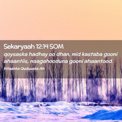 Picture 02 - Sekaryaah 12:14 SOM - qoysaska hadhay oo dhan, mid kastaba gooni - Bible Verse Picture