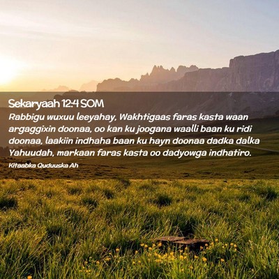 Picture 02 - Sekaryaah 12:4 SOM - Rabbigu wuxuu leeyahay, Wakhtigaas faras kasta - Bible Verse Picture