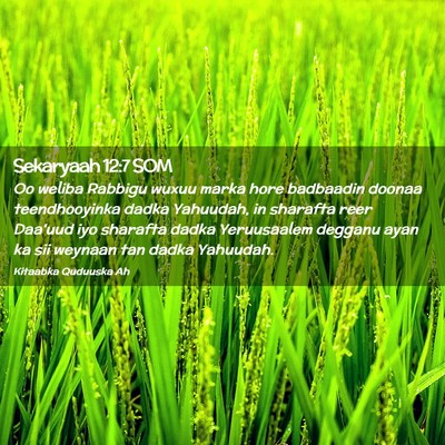 Picture 02 - Sekaryaah 12:7 SOM - Oo weliba Rabbigu wuxuu marka hore badbaadin - Bible Verse Picture