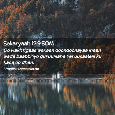 Picture 02 - Sekaryaah 12:9 SOM - Oo wakhtigaas waxaan doondoonayaa inaan wada - Bible Verse Picture