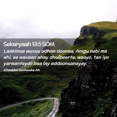 Picture 02 - Sekaryaah 13:5 SOM - Laakiinse wuxuu odhan doonaa, Anigu nebi ma ahi, - Bible Verse Picture
