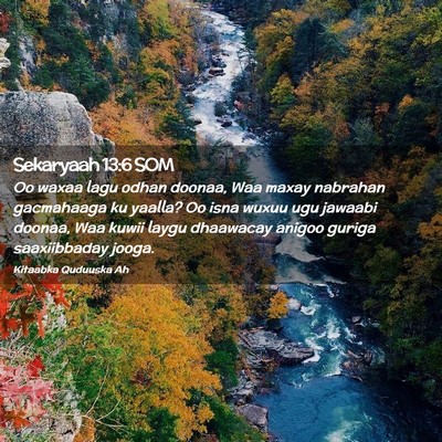 Picture 02 - Sekaryaah 13:6 SOM - Oo waxaa lagu odhan doonaa, Waa maxay nabrahan - Bible Verse Picture