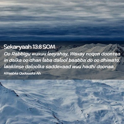 Picture 02 - Sekaryaah 13:8 SOM - Oo Rabbigu wuxuu leeyahay, Waxay noqon doontaa in - Bible Verse Picture