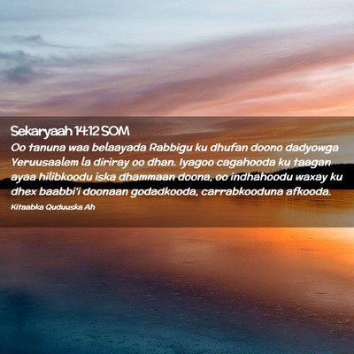 Picture 02 - Sekaryaah 14:12 SOM - Oo tanuna waa belaayada Rabbigu ku dhufan doono - Bible Verse Picture