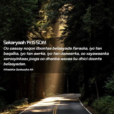 Picture 02 - Sekaryaah 14:15 SOM - Oo saasay noqon doontaa belaayada faraska, iyo - Bible Verse Picture
