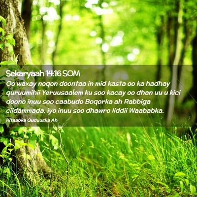 Picture 02 - Sekaryaah 14:16 SOM - Oo waxay noqon doontaa in mid kasta oo ka hadhay - Bible Verse Picture