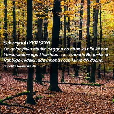 Picture 02 - Sekaryaah 14:17 SOM - Oo qolooyinka dhulka deggan oo dhan ku alla kii - Bible Verse Picture