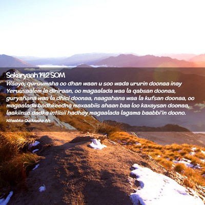 Picture 02 - Sekaryaah 14:2 SOM - Waayo, quruumaha oo dhan waan u soo wada ururin - Bible Verse Picture