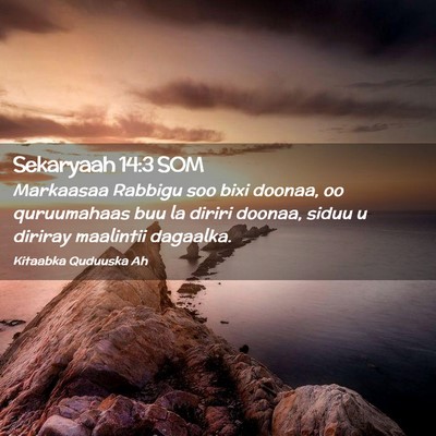 Picture 02 - Sekaryaah 14:3 SOM - Markaasaa Rabbigu soo bixi doonaa, oo quruumahaas - Bible Verse Picture