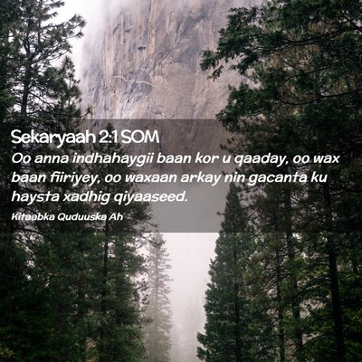 Picture 02 - Sekaryaah 2:1 SOM - Oo anna indhahaygii baan kor u qaaday, oo wax - Bible Verse Picture