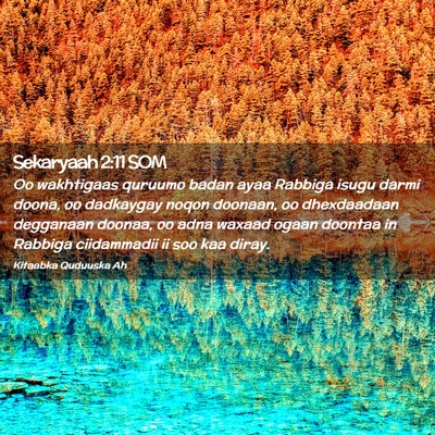 Picture 02 - Sekaryaah 2:11 SOM - Oo wakhtigaas quruumo badan ayaa Rabbiga isugu - Bible Verse Picture