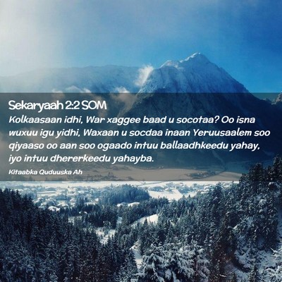 Picture 02 - Sekaryaah 2:2 SOM - Kolkaasaan idhi, War xaggee baad u socotaa? Oo - Bible Verse Picture