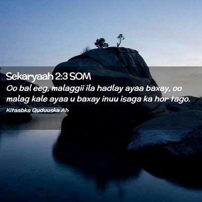Picture 02 - Sekaryaah 2:3 SOM - Oo bal eeg, malaggii ila hadlay ayaa baxay, oo - Bible Verse Picture