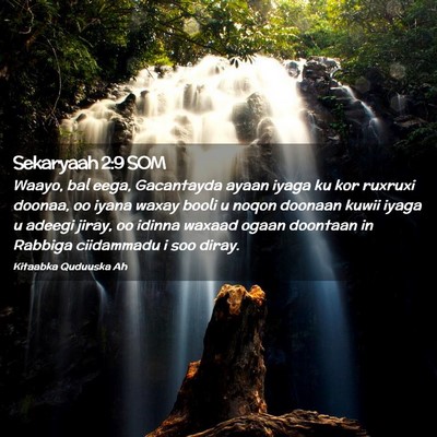 Picture 02 - Sekaryaah 2:9 SOM - Waayo, bal eega, Gacantayda ayaan iyaga ku kor - Bible Verse Picture