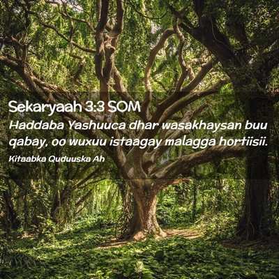Picture 02 - Sekaryaah 3:3 SOM - Haddaba Yashuuca dhar wasakhaysan buu qabay, oo - Bible Verse Picture