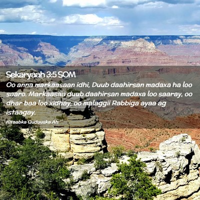 Picture 02 - Sekaryaah 3:5 SOM - Oo anna markaasaan idhi, Duub daahirsan madaxa ha - Bible Verse Picture