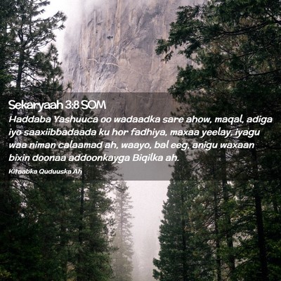 Picture 02 - Sekaryaah 3:8 SOM - Haddaba Yashuuca oo wadaadka sare ahow, maqal, - Bible Verse Picture