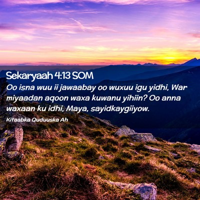 Picture 02 - Sekaryaah 4:13 SOM - Oo isna wuu ii jawaabay oo wuxuu igu yidhi, War - Bible Verse Picture