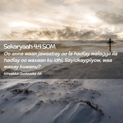 Picture 02 - Sekaryaah 4:4 SOM - Oo anna waan jawaabay oo la hadlay malaggii ila - Bible Verse Picture