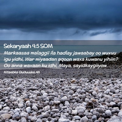 Picture 02 - Sekaryaah 4:5 SOM - Markaasaa malaggii ila hadlay jawaabay oo wuxuu - Bible Verse Picture