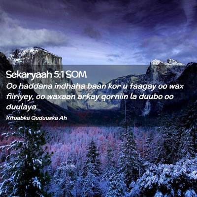 Picture 02 - Sekaryaah 5:1 SOM - Oo haddana indhaha baan kor u taagay oo wax - Bible Verse Picture