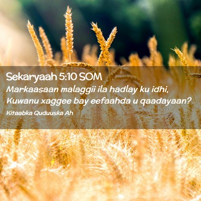 Picture 02 - Sekaryaah 5:10 SOM - Markaasaan malaggii ila hadlay ku idhi, Kuwanu - Bible Verse Picture