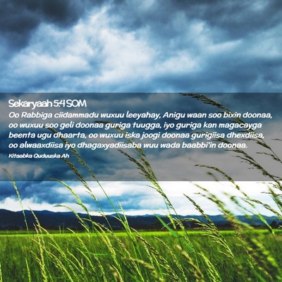 Picture 02 - Sekaryaah 5:4 SOM - Oo Rabbiga ciidammadu wuxuu leeyahay, Anigu waan - Bible Verse Picture