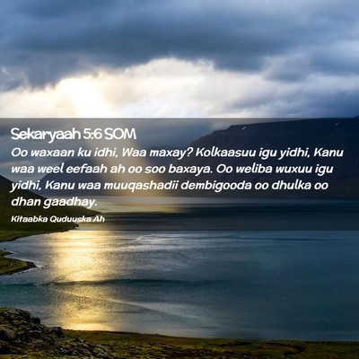 Picture 02 - Sekaryaah 5:6 SOM - Oo waxaan ku idhi, Waa maxay? Kolkaasuu igu - Bible Verse Picture