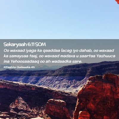 Picture 02 - Sekaryaah 6:11 SOM - Oo waxaad iyaga ka qaaddaa lacag iyo dahab, oo - Bible Verse Picture